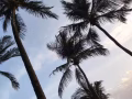 求租 求租  求租 一個單間