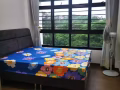 榜鵝全新普通房出租