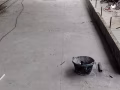 找兼职 拜天