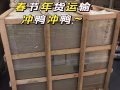 中國到新加坡集運