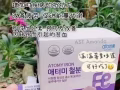莓果味道的铁粉【易于吸收的非血红素铁，构成血红蛋白(血液)的重要成分】