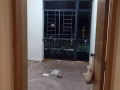 专业油漆，做隔间，拆隔间，拆壁橱，门框修改，墙面修补