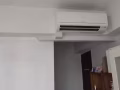 绿线Dover附近，房屋出租，长租，限女生，可大煮