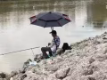 鱼杆  手杆  鱼饵   夜钓灯