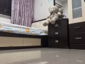 普通房出租
