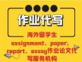 论文代写/网课代考/Assignment Help/Online Quiz