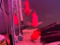 血鹦鹉鱼