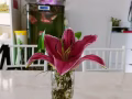榜鹅普通房出租