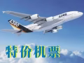 特价出国回国机票