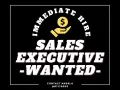 hiring sales executive 销售主管 x5