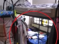 先驱地铁站百米内主人房，五人间下铺床位转租