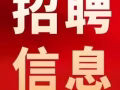 博览，大世界Great world，樟宜机场，淡滨尼等全岛各地需要家属准证洗碗工