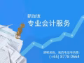 新加坡会计、簿记和税务服务