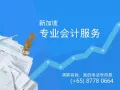 新加坡会计、簿记和税务服务