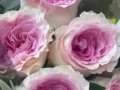 美容院寻找合作者