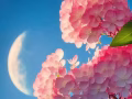 华文家教