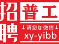 新加坡工作，正规资质大公司，信誉保障，好单不断，微信：xy-yibb