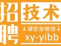 新加坡全岛工作，招聘高薪技术类岗位，详情咨询微信：xy-yibb