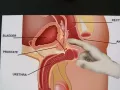 只做正宗正规的抓根按摩理疗，色情请勿打扰。