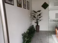 聘请马来西亚甜品厨师