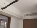 专业油漆，刮腻子，补洞，房屋改造