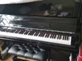 钢琴出售$720