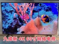 60寸电视 Sharp