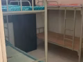 勿洛女搭房床位招租