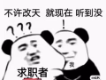 高新服务员2000＋