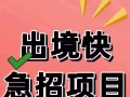 新加坡最诚信推荐；空调安装 货仓管理  按摩师 美甲美睫师 服务员  销售员 歌手 幼师 咨询：13208987918