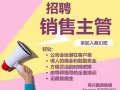 招聘 销售主管