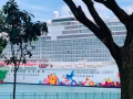 出一间云顶梦邮轮🚢阳台房