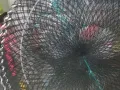 有几个螃蟹笼