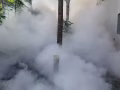 专业杀虫，除蟑螂，老鼠，白蚂蚁，蚊虫等一切害虫（全岛）