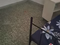 单间在马西岭