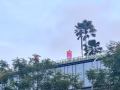 求wp工作签证，人在中国🇨🇳希望没有中介费