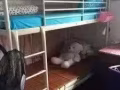 靠近阿裕尼地铁站女生搭房$500