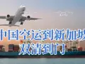 七夕网购化妆品、护肤品、面膜，海运空运到新加坡时效要多久？