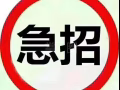 文员 销售 幼师订单 加薇wen905222
