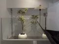 正规公司。装修设计。拆除还原。全岛最低价