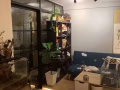 後港 blk 527有普通房間出租