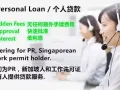 WP/EP/PR 100%个人贷款，商业贷款，新加坡合法公司！！！