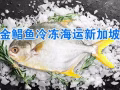 金鲳鱼冷冻海运新加坡,湛江水产金鲳鱼顺利出海新加坡