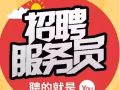 聘请早班服务员, 新加坡人和新加坡PR月薪高达3400+谢绝中介
