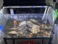 宏茂桥自取