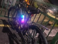公路车9.99新