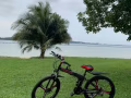 二手自行车 （已卖）