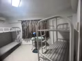 港湾,欧南园附近男搭房女搭房出租，单间，隔间出租