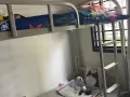 上下铺铁床