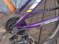 二首崔克自行车